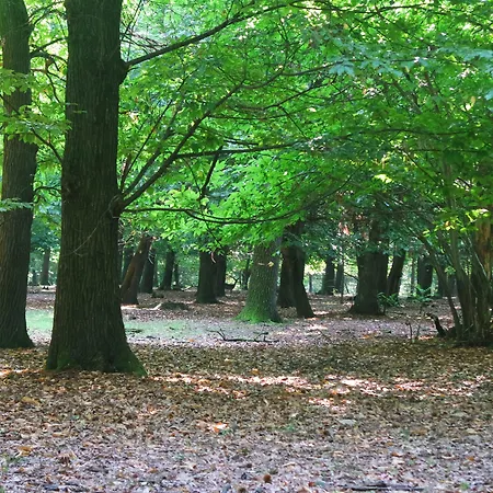 Hotel Country Castelbarco