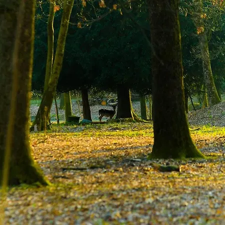 Hotel Country Castelbarco Vaprio dʼAdda