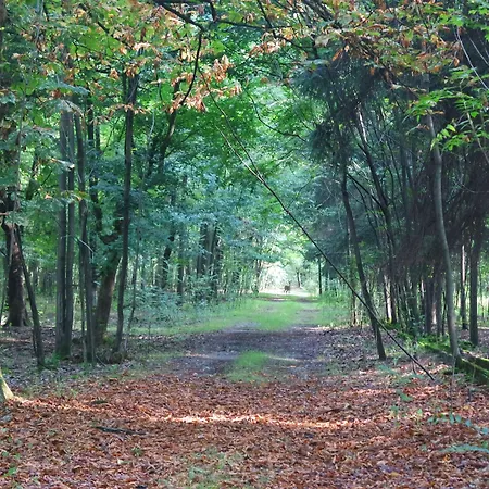 Country Castelbarco Hotel