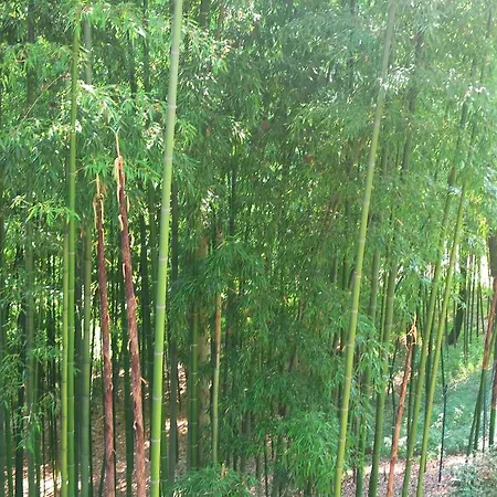 Country Castelbarco Vaprio dʼAdda