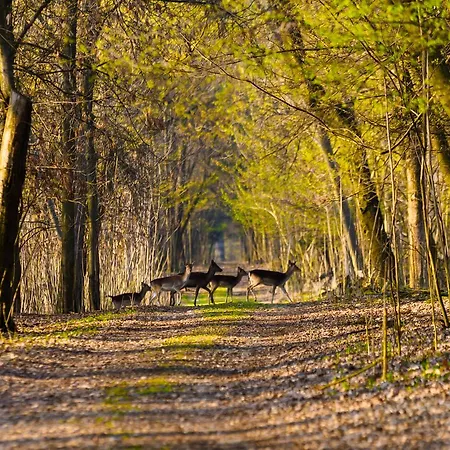 Country Castelbarco Vaprio dʼAdda